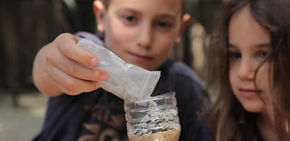 The Purple Cow - Young Survivor, Science Kits for Kids from The Famous Crazy Scientist Lab - Survival Skill Box. Kids Science Kits. STEM Educational Games for Kids, Young Survivor Skills, 191