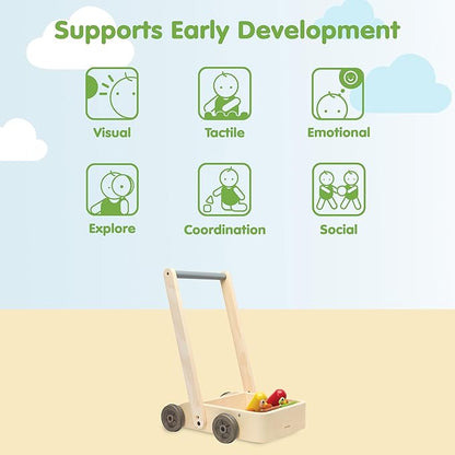PlanToys® Musical Bird Walker Wooden Push Toy with Sound | Montessori Developmental Activity for Balance, Rhythm & Coordination | Eco-Friendly Educational Toy for Early Learning