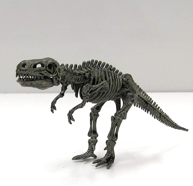 Science4you Dinosaur Fossil Excavation Kit 4 in 1 - Fossil Digging Kit for Kids, Build 4 Dinosaur Fossils, 46 Pieces, Archeology Set, Hunting Kit - Dinosaur Toys, Games for Boys and Girls Age 6+