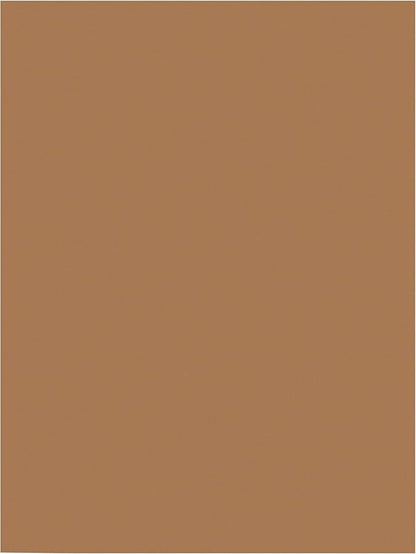 Prang (Formerly SunWorks) Construction Paper, Light Brown, 9" x 12", 50 Sheets