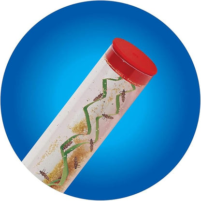 Insect Lore Live Ladybug Growing Kit | Ladybug Land Habitat | 10-15 Live Pink Spotted Ladybug Larvae Included