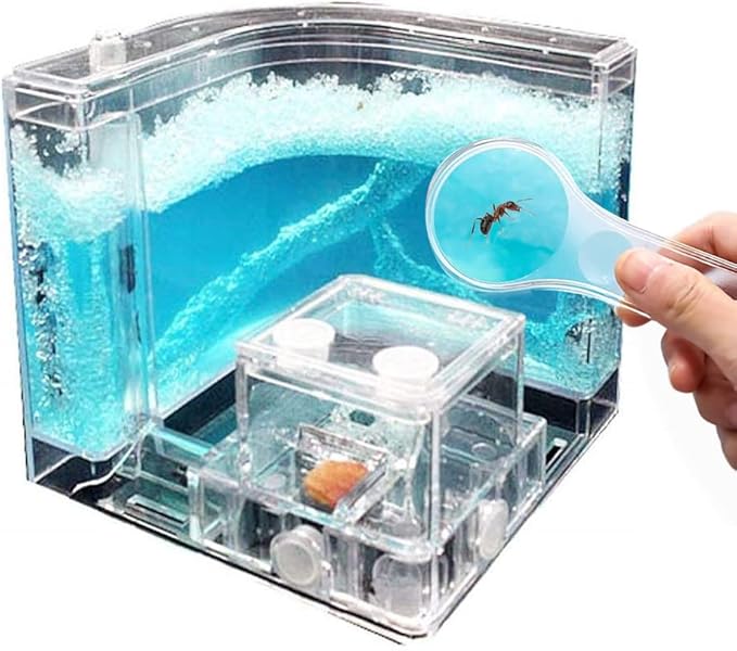 NAVADEAL Ant Farm Castle Experiment and Toy Allows Study of Social Structure, Architecture, Ecosystem, and The Behavior of Ants Within The 3D Maze of Translucent Gel