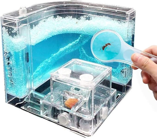 NAVADEAL Ant Farm Castle Experiment and Toy Allows Study of Social Structure, Architecture, Ecosystem, and The Behavior of Ants Within The 3D Maze of Translucent Gel