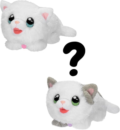 Little Live Pets My Kitty's Home | Interactive Plush Toy Kitten & House, Surprise Reveal with 25+ Sounds & Reactions. Build Kitty's Home - Easy Build DIY Home, Batteries Included. for Kids Ages 5+