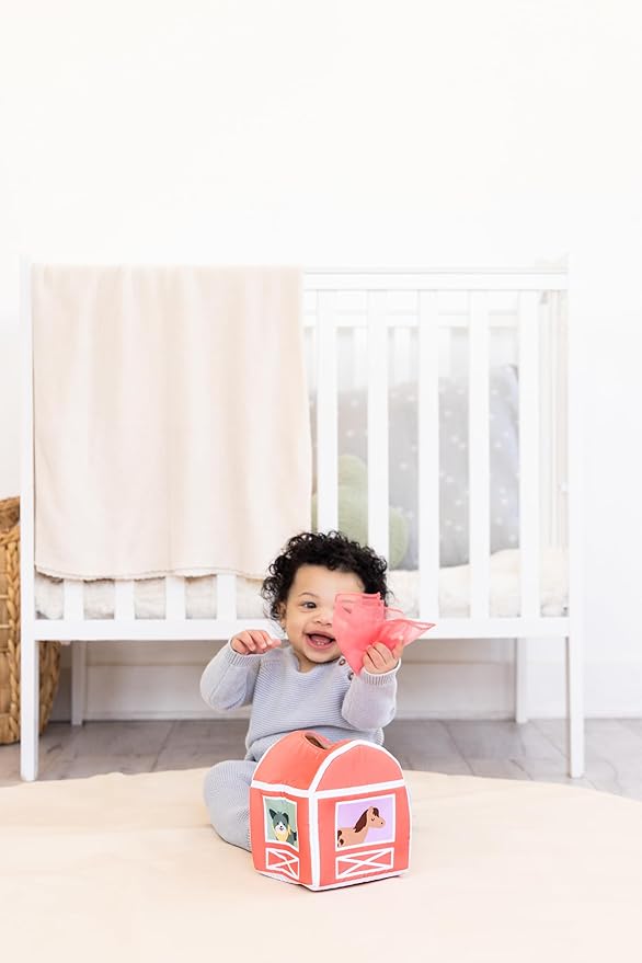 Pearhead Learning Kit for Babies 6+ Months, 8 in 1 Learning Educational Set for Babies, Play Set for Early Development and Motor Skills, Montessori Toys for Babies 6+ Months