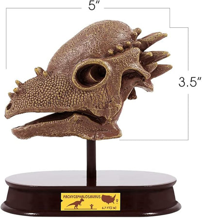 ArtCreativity Dinosaur Excavation Kit for Kids, 5.5” Pachycephalosaurs Skull Excavating Set with Fossil Digging Tools and Stand, Fun Science Activity Toy, Educational Dinosaur Gift for Boys and Girls