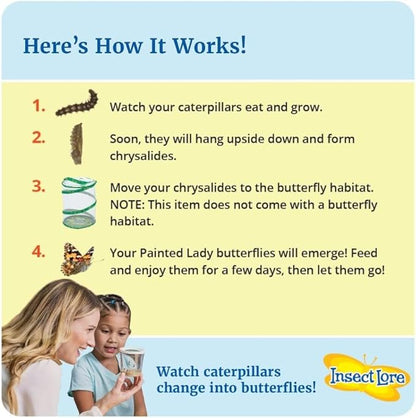 Insect Lore Two Cups of Live Caterpillars with Butterfly Life Cycle Figurines | Butterfly Habitat or Kit Refill | Painted Lady Butterflies