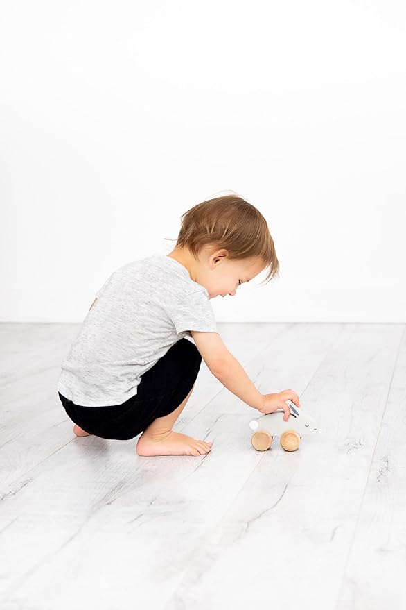 Pearhead Wooden Toy Bunny, Push and Pull Montessori Baby and Toddler Toy, Baby Girl or Baby Boy Nursery Accessory