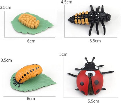 Montessori Animal Match Game Cards Marine Animal Matching Montessori Language Materials Toddlers Preschool Educational Learning Toys Language Materials Shape Sorting Toy