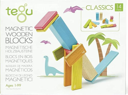 Tegu 14 Piece Magnetic Wooden Block Set in Tints