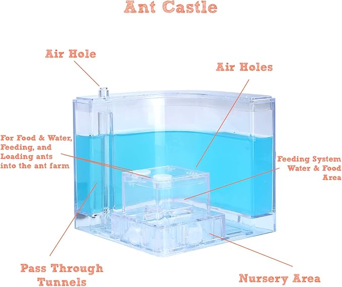 NAVADEAL Ant Farm Castle Experiment and Toy Allows Study of Social Structure, Architecture, Ecosystem, and The Behavior of Ants Within The 3D Maze of Translucent Gel