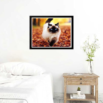 Jigsaw Puzzles 1000 Pieces Puzzles for Adults, Cats Playing in The Park Wooden Puzzle Animal Unique Difficult and Challenge Large Puzzle Game Decompressing Toys Best Gift for Cat Lovers