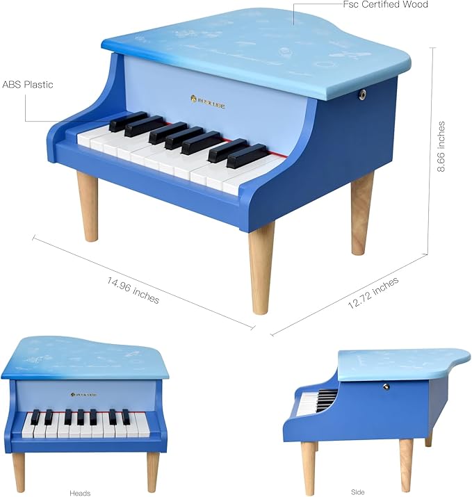 MUSICUBE Kids Mini Piano - 18 Key Grand Piano for 3-7 Year Olds, Beginner Girls & Boys, Educational Musical Instrument Gift Choice (Range: C4-F5)