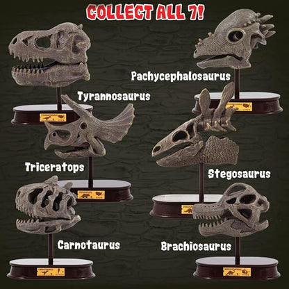 ArtCreativity Dinosaur Excavation Kit for Kids, Velociraptor Skull Excavating Set with Fossil Digging Tools and Stand, Fun Science Activity Toy, Educational Dinosaur Gift for Boys and Girls