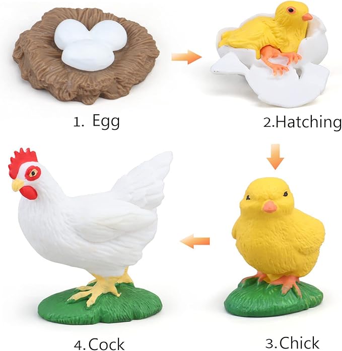 Montessori Animal Match Game Cards Marine Animal Matching Montessori Language Materials Toddlers Preschool Educational Learning Toys Language Materials Shape Sorting Toy