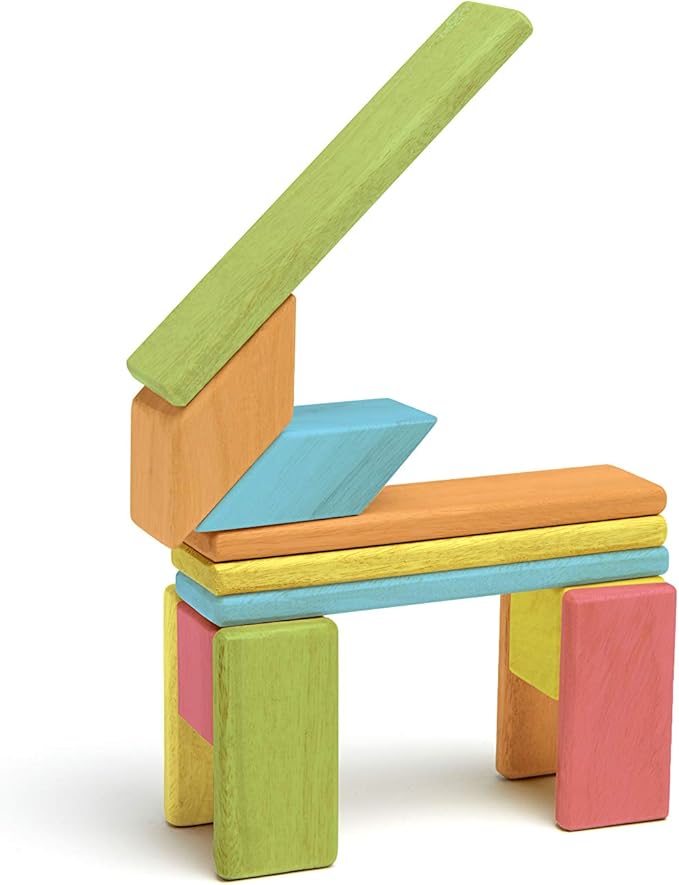 Tegu 14 Piece Magnetic Wooden Block Set in Tints