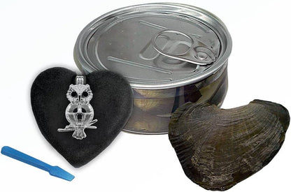 My Inspirations Precious Pearl Pearl in Oyster Kit, Mysterious Pearl Gift Set, DIY Necklace Making Kit, Elegant Pendant with 20" Chain, Rhodium Plated, Great Gift for Any Occasion, Owl