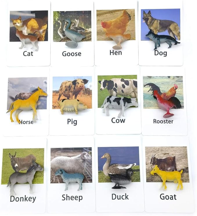 MEROCO Montessori Animal Match Cards - Miniature Poultry Animals with Matching Cards - 2 Part Cards. Montessori Learning Toy, Language Materials TZX106