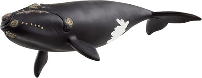 Schleich Wild Life - Large 7.5" Right Whale Toy Figurine. Realistic Hand-Painted Hard Animal Toys for Boys and Girls. Durable, Educational Figure for Imaginative Play. Kids and Toddlers Ages 3+ 14878
