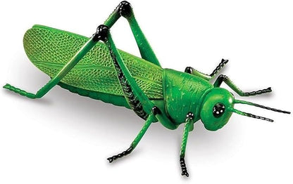 Learning Resources Jumbo Insects - 7 Pieces, Ages 3+ Toddler Learning Toys, Animal Toys for Kids, Preschool Science Learning Toys