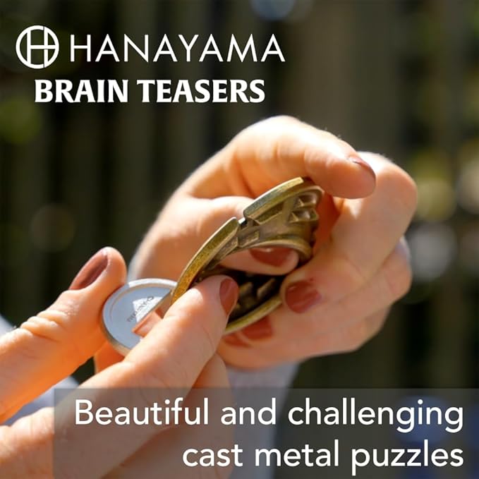 BePuzzled |Slider Hanayama Metal Brainteaser Puzzle Mensa Rated Level 3, for Ages 12 and Up