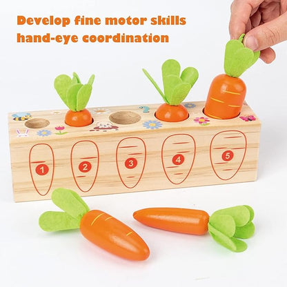 Xylolin Montessori Toys for Toddlers 1-3, Carrots Shapes Sorting and Matching Game Wooden Toys, Fine Motor Skill Early Learning Preschool Educational Toys Gifts for 1 2 3 Year Old Boys Girls