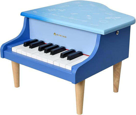 MUSICUBE Kids Mini Piano - 18 Key Grand Piano for 3-7 Year Olds, Beginner Girls & Boys, Educational Musical Instrument Gift Choice (Range: C4-F5)