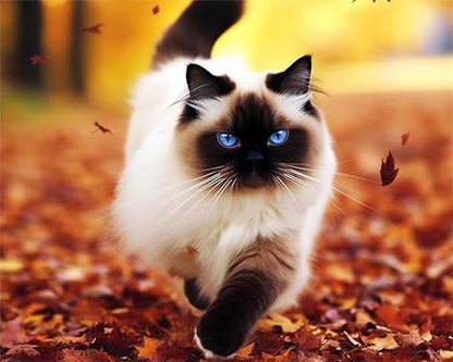 Jigsaw Puzzles 1000 Pieces Puzzles for Adults, Cats Playing in The Park Wooden Puzzle Animal Unique Difficult and Challenge Large Puzzle Game Decompressing Toys Best Gift for Cat Lovers