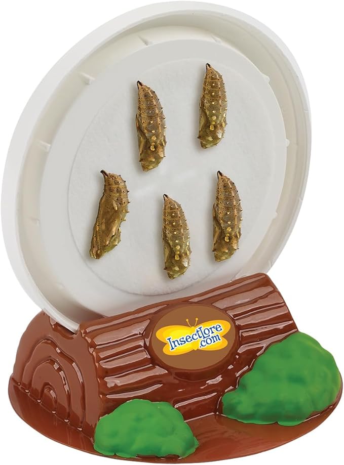 Insect Lore Butterfly Garden Kit, Painted Lady Butterfly Kit with Voucher for Live Caterpillars, Butterfly Habitat, STEM Journal & More