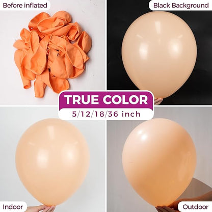 Bezente Pastel Orange Latex Party Balloons - 150 Pack 5 Inch Matte Small Light Orange Peach Helium Balloons for Bridal Shower Wedding Birthday Party Decorations