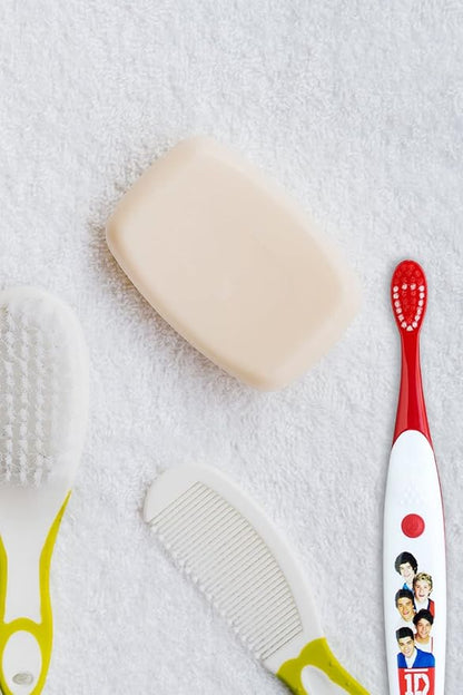 B. Designs One Direction Singing Battery Powered Tooth Brush (Live While we’re Young)/Limited Edition