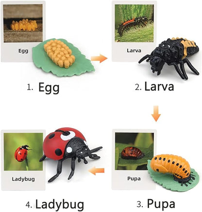 Montessori Animal Match Game Cards Marine Animal Matching Montessori Language Materials Toddlers Preschool Educational Learning Toys Language Materials Shape Sorting Toy