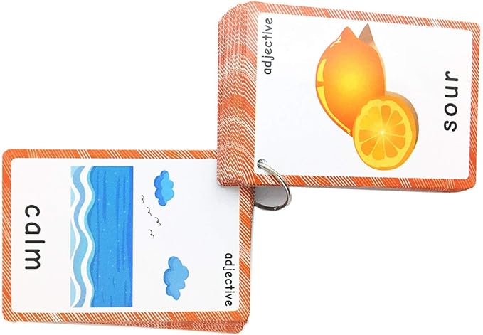 Set of Adjective&Antonym and Insect Flash Cards for Toddlers |Kids Learning Flashcard & Montessori Pocket Cards Toys | Perfect for Pre-K Decor Background Wall Stickers, Teacher/Autism Therapists Tools