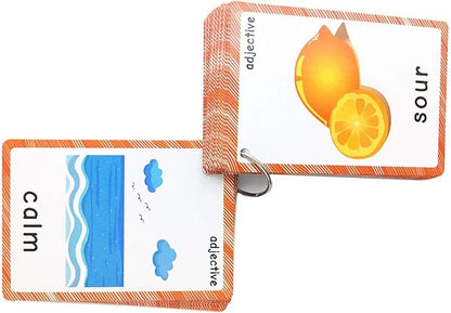 Set of Adjective&Antonym and Insect Flash Cards for Toddlers |Kids Learning Flashcard & Montessori Pocket Cards Toys | Perfect for Pre-K Decor Background Wall Stickers, Teacher/Autism Therapists Tools