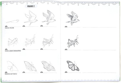 eeBoo: Learn to Draw - Bugs, Birds & Butterflies - 32 Page Activity Book & 50 Stickers Set, Fun Nature-Themed Step-by-Step Drawing & Coloring, Kids 5+