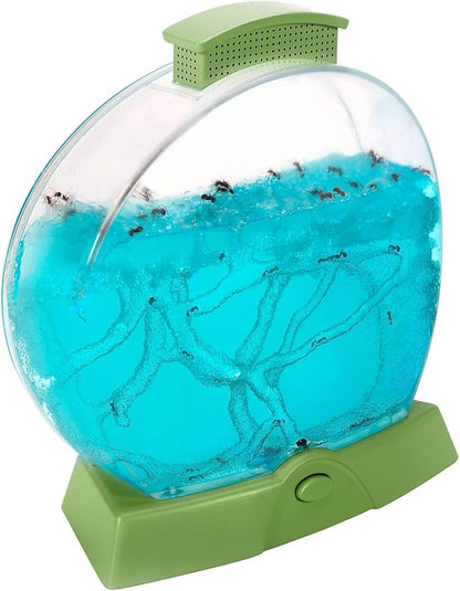 Educational Insights GeoSafari Day 'N' Night Ant Factory (Glow Ant Factory) STEM Learning, Ages 7+