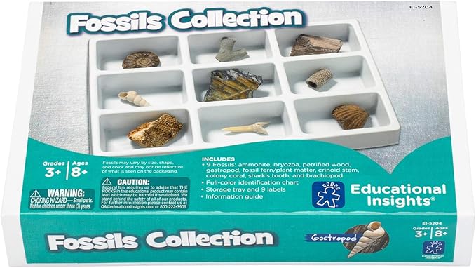 Educational Insights Fossil Collection, Ages 8 and up, (9 Pieces with Storage Tray)