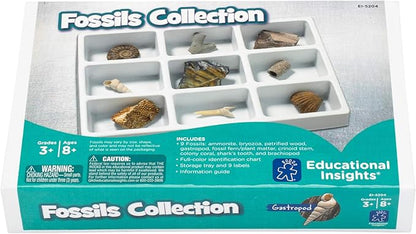 Educational Insights Fossil Collection, Ages 8 and up, (9 Pieces with Storage Tray)