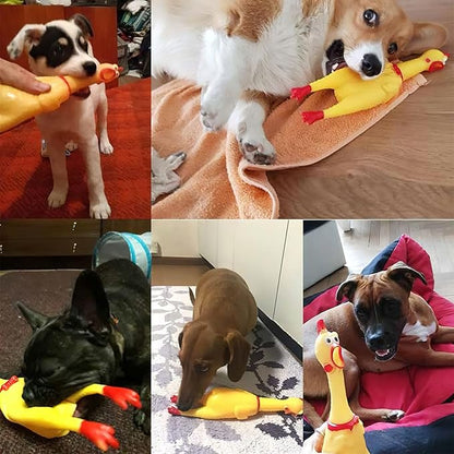 POPLAY Screaming Chicken, Squeaky Chicken Dog Toys Gag Gifts Prank Novelty Toy Party Favors for Kids Adults April Fools Pranks Goodie Bag Fillers Basket Stuffers
