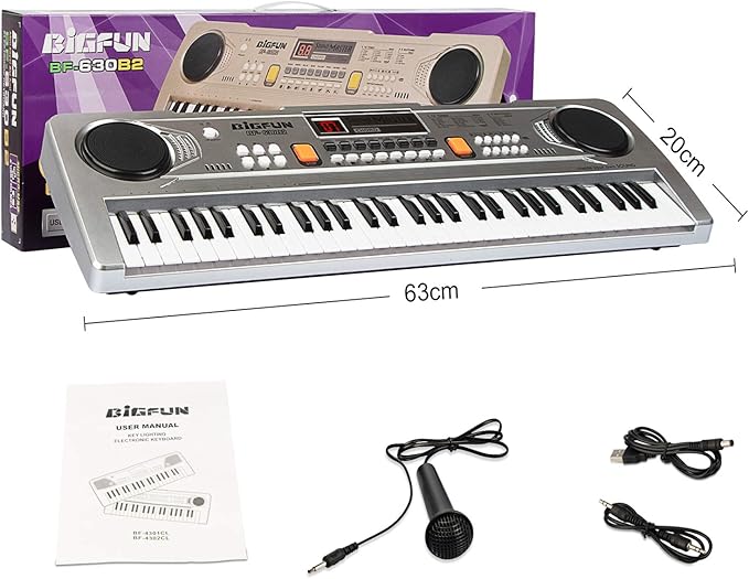 LeeQee Digital Keyboard Piano for Kids & Beginners, 61 Keys Multifunction Electric Piano Keyboard with Microphone, Educational Instrument Musical Toy for 3-12 Years Old Boys Girls (Silver)