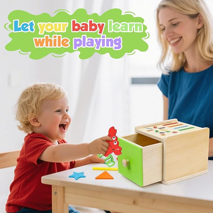 Montessori Wooden Toddler Toys for 1 Year Old, Fine Motor Skills Toys for 1-3 Year Old, 12-18 Month Baby Educational Color Shape Sorting & Animal Cognition Toy with Drawer, Birthday Gift for Girl Boy