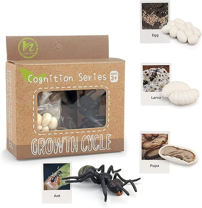 Montessori Animal Match Game Cards Marine Animal Matching Montessori Language Materials Toddlers Preschool Educational Learning Toys Language Materials Shape Sorting Toy