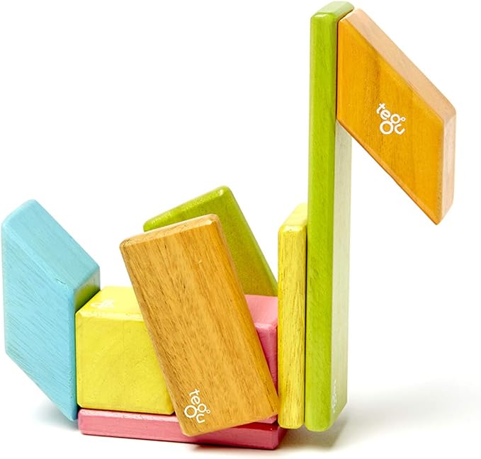 Tegu 14 Piece Magnetic Wooden Block Set in Tints