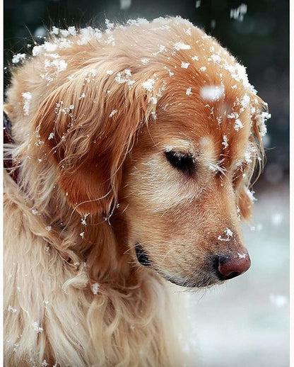 Jigsaw Puzzles 1000 Pieces for Adults 1000 Piece Puzzles for Adults and Kids (Cute Pet Dog)