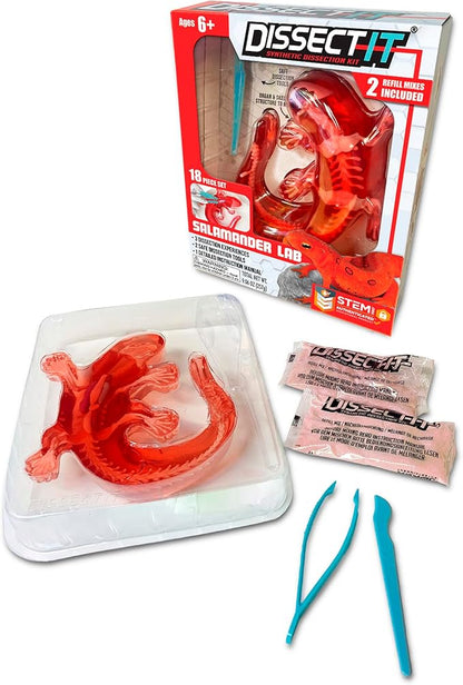 Dissect-It Kit for Kids 6 Plus, Simulated Synthetic Lab Dissection Toy | Salamander | Authenticated STEM Toys | Kids Learn Animal Science, Biology, and Anatomy