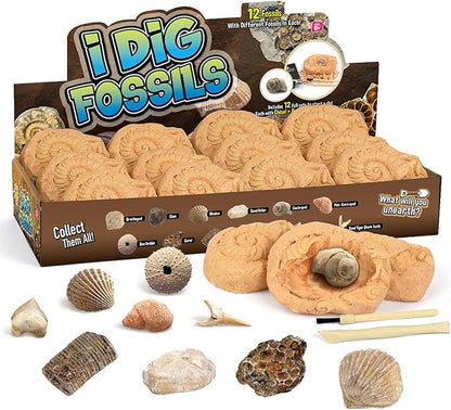 Byncceh Fossil Dig Kit - Educational STEM Science Toys for Kids Ages 6+ - Dig Up 12 Fossils Real & Dinosaur Bones Rocks - Digging Activities Kits - Paleontology, Discovery Gifts for Boys & Girls