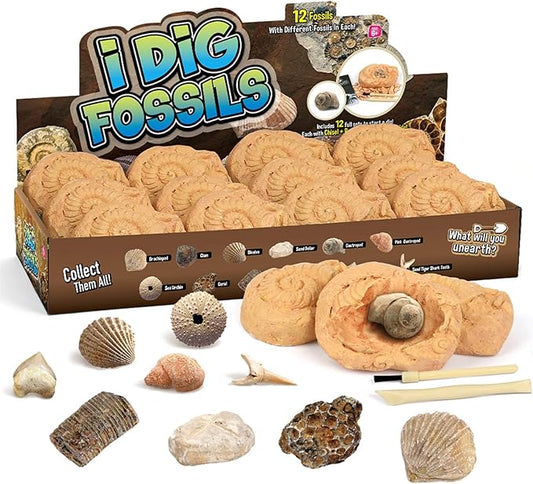 Byncceh Fossil Dig Kit - Educational STEM Science Toys for Kids Ages 6+ - Dig Up 12 Fossils Real & Dinosaur Bones Rocks - Digging Activities Kits - Paleontology, Discovery Gifts for Boys & Girls