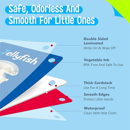 50 PCS Early Learning Flashcards, 7 in 1 Double Sided Cards- Alphabet, Numbers, Foods, Animals, Shapes, Colors with 2 Reclosable Rings, Learning Tool for Pre-K Kindergarten Toddlers