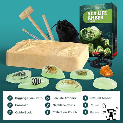 EDUMAN Amber Dig Kit-6 Artificial Sea Life Resin Specimens, Glow in The Dark Oceanlife Fossil Excavation Set, STEM Inspired Educational Toy for Kids Ages 6-12, for Boys & Girls