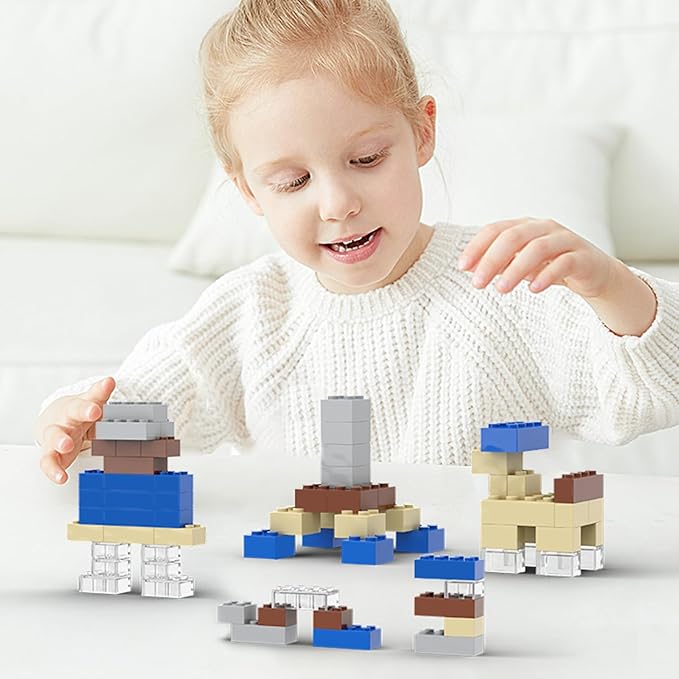 300 Pcs Classic Building Bricks, Fully Transparent Bulk Bricks,Compatible with Major Brands Parts and Pieces, Creative Building Block Toys for Boys Girls Ages 6 7 8 9 10 Year Old